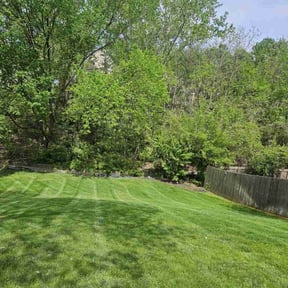 lawn maintenance by We Talk Lawn and Tree reviewed on August 21, 2025