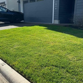 lawn maintenance by Edgar reviewed on June 15, 2025