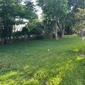 residential landscaping by Mollys landscaping reviewed on August 21, 2025