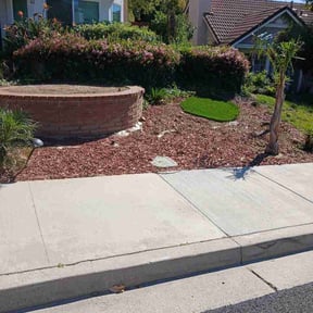 Flower Bed Weeding by The Lawn Cypress reviewed on March 12, 2026