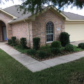 Bush Trimming by Turbo Lawn Care reviewed on August 15, 2025