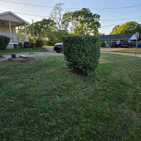 Bush Trimming by F&amp;M LAWNCARE reviewed on April 23, 2026