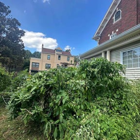 Bush Trimming by Diaz Lawn Care reviewed on August 19, 2025