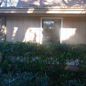 Bush Trimming by B&amp;S Lawn Care reviewed on October 18, 2025