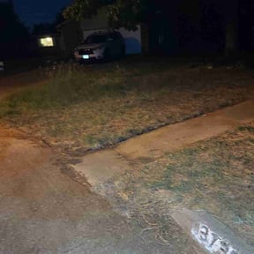 Leaf Removal by Barr's Lawn Service reviewed on September 22, 2025