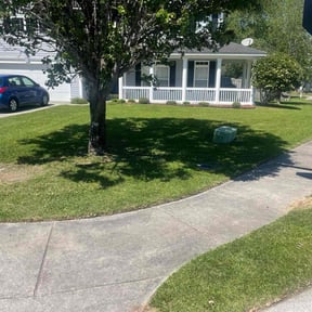 yard maintenance by Trevol lawn general services LLC reviewed on August 20, 2025