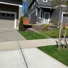 landscape maintenance by Adams Pressure Washing, Lawn Care and Maintenance reviewed on August 18, 2025