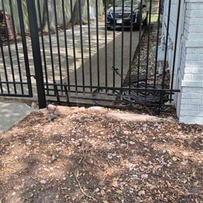 Leaf Removal by ATM reviewed on April 1, 2026