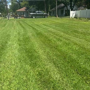 grass maintenance by T F Lawn Care Services reviewed on August 20, 2025