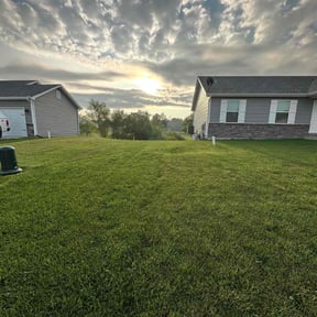 lawn care by Ozarkservice reviewed on July 14, 2025