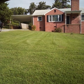 Flower Bed Weeding by DeFeat It Landscaping reviewed on August 17, 2025