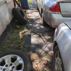 Leaf Removal by George of the jungle  lawn care reviewed on June 29, 2025