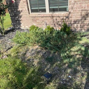 Flower Bed Weeding by Creed lawn care reviewed on August 15, 2026