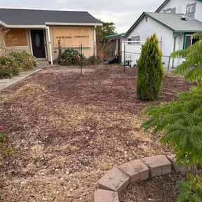 grass cutting by All Around Landscaping reviewed on April 26, 2024