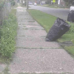 Leaf Removal by Landscape Management reviewed on September 13, 2025
