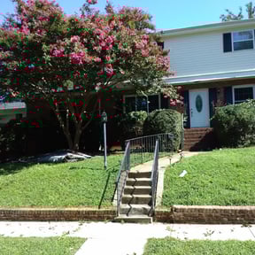 Bush Trimming by Toko Lawn Services reviewed on August 20, 2025