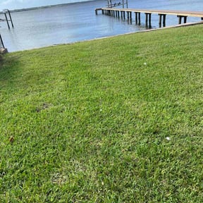 yard work by FLA Mowers LLC reviewed on August 17, 2025