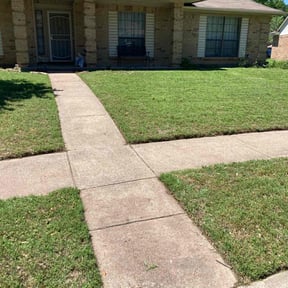 yard care by Top Dog Services reviewed on August 20, 2025