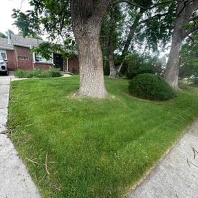 landscape maintenance by N.A.L Landscaping and Services LLC reviewed on August 15, 2025