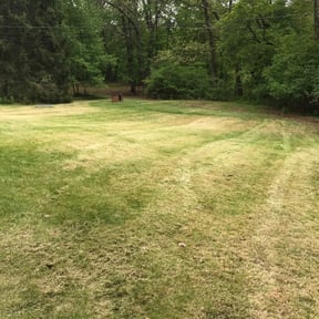 Bush Trimming by Mauler Mowing LLC reviewed on August 15, 2025
