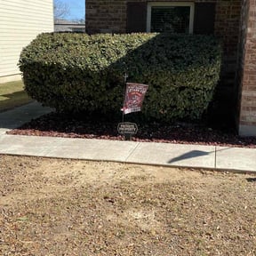 Bush Trimming by Conley Lawn care reviewed on August 20, 2025