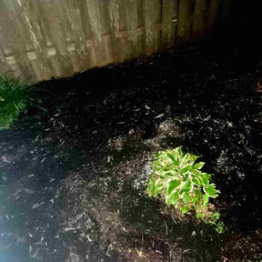 Mulching by 2Js Lawncare Services LLC reviewed on October 19, 2025