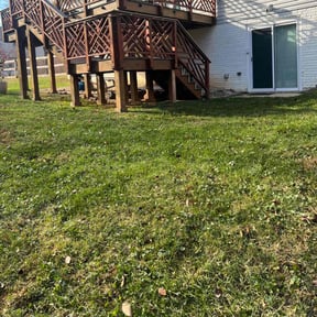 Leaf Removal by G&amp;M Landscaping Services reviewed on September 26, 2025