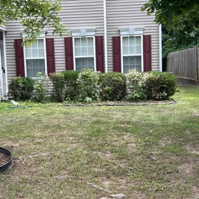 Bush Trimming by Willie's Mobile Lawn Services reviewed on August 18, 2025