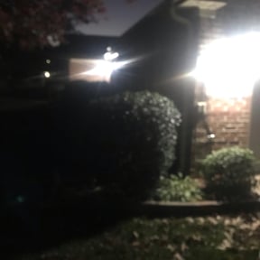 Bush Trimming by Lexi's Landscaping reviewed on August 21, 2025