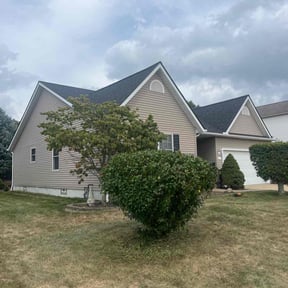 Bush Trimming by Lampkin Lawn &amp; More reviewed on October 21, 2025