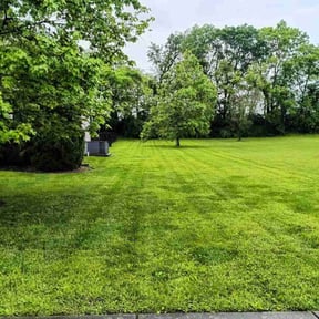 yard service by LawnStar reviewed on August 19, 2025