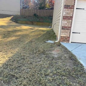 Leaf Removal by Hometeam Property Management reviewed on November 25, 2025