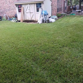 lawn care by Premier Lawn Management reviewed on April 13, 2024