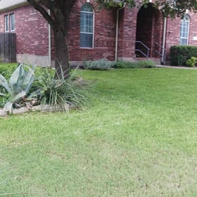 turf maintenance by Banda Landscaping reviewed on August 19, 2025