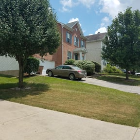 Bush Trimming by Buku Bucks LLC reviewed on August 19, 2024