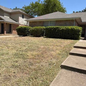 Bush Trimming by BG landscaping reviewed on August 15, 2026