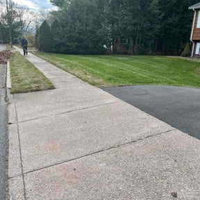 Leaf Removal by Green light landscaping  reviewed on October 21, 2025