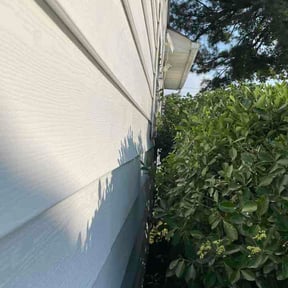 Bush Trimming by Rucker's Home Help reviewed on June 18, 2026