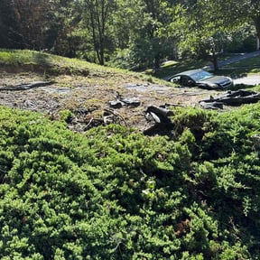 Flower Bed Weeding by J&amp;J Lawnz reviewed on November 9, 2025