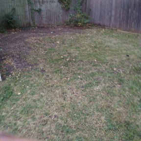 Leaf Removal by LuvYourLawn reviewed on September 11, 2025