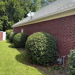 Bush Trimming by Vega &amp; Sons Landscaping reviewed on October 21, 2025