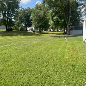 landscaping by Torres Transformations reviewed on August 18, 2025