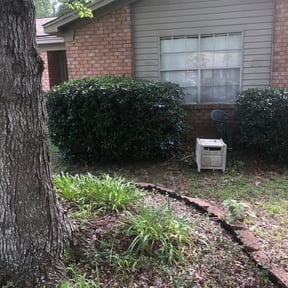 Bush Trimming by Stinson's lawn care reviewed on August 20, 2025