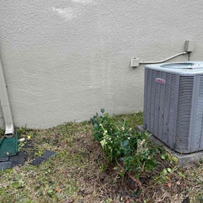 Bush Trimming by Grass Grabbers reviewed on November 25, 2025