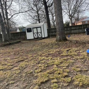 Leaf Removal by Hernández landscape reviewed on May 3, 2026