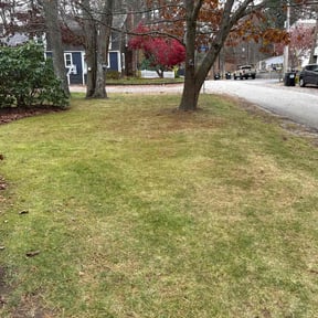 Leaf Removal by Grass Care By the Beach reviewed on November 22, 2025