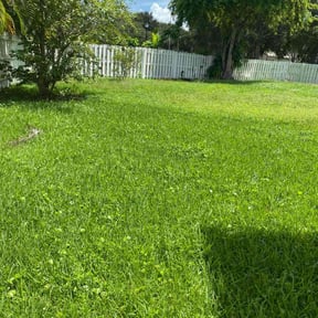 grass cutting by Family affair reviewed on August 15, 2025