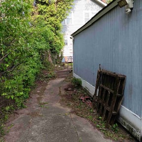 Bush Trimming by Mauler Mowing LLC reviewed on August 15, 2025