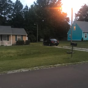 Bush Trimming by Bahr's Lawn & Landscaping reviewed on August 16, 2025