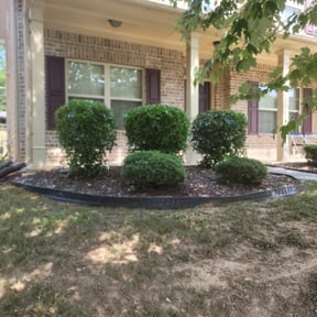 Bush Trimming by Jose&Jose Landscaping reviewed on August 19, 2025